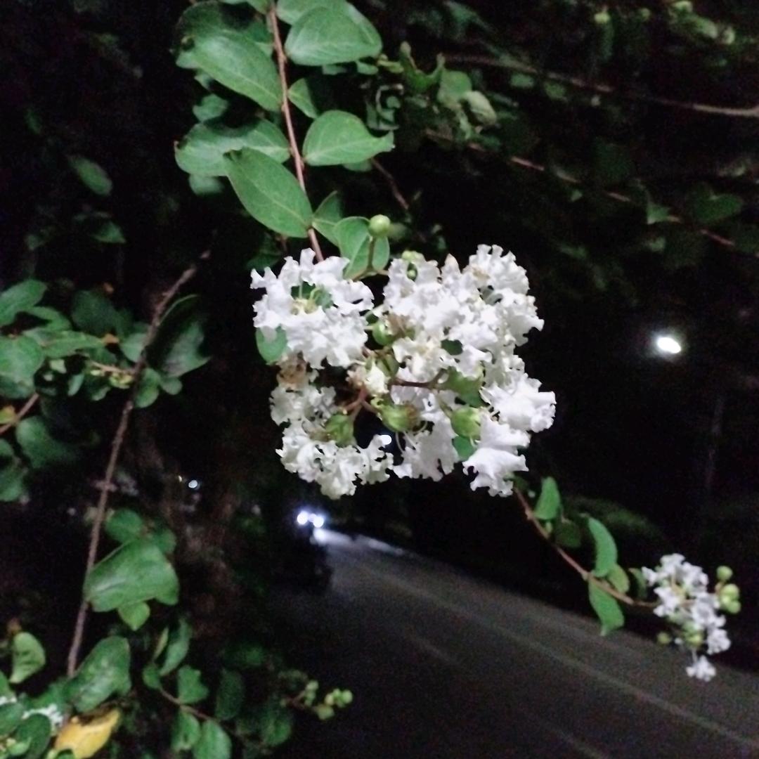 奋斗中十收废品