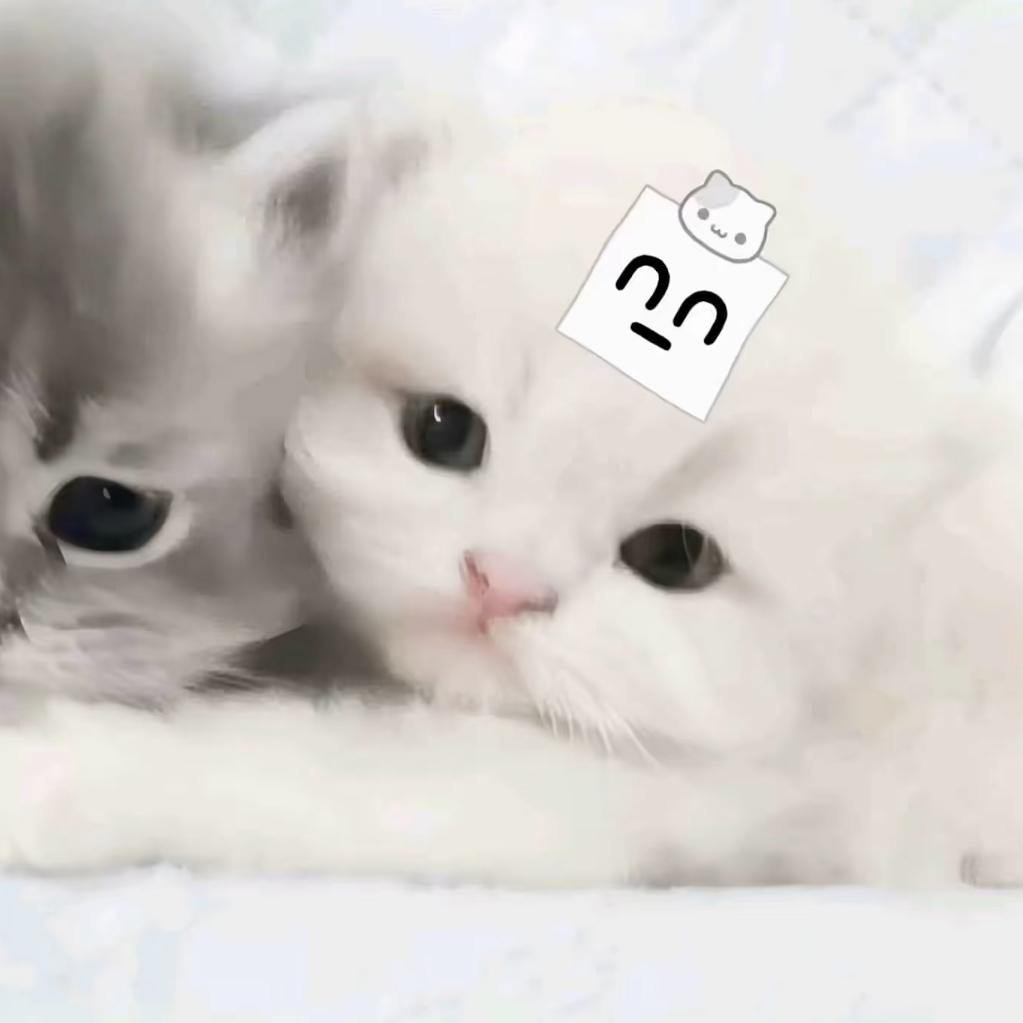 无忧兔