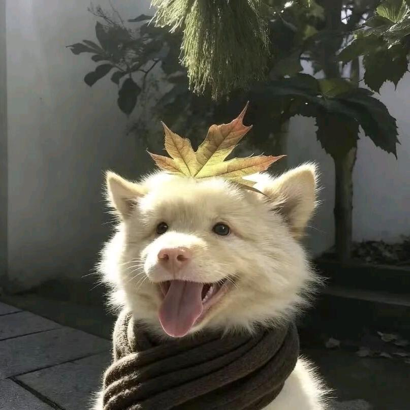 autumn and leaves
