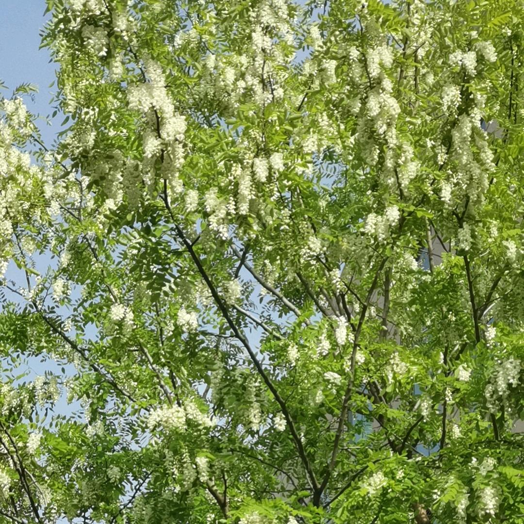 不忘初心：