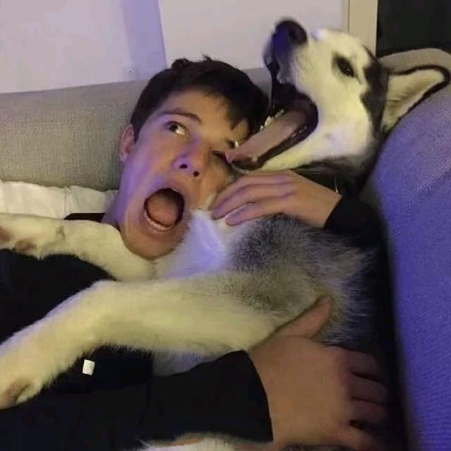 读书馆