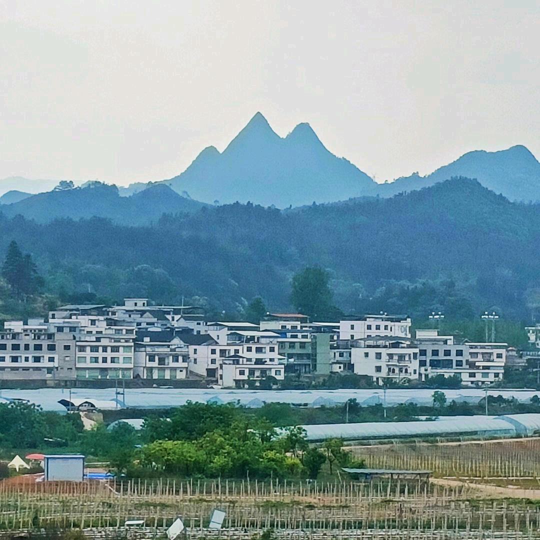 太素堂