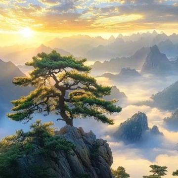 福佑安康