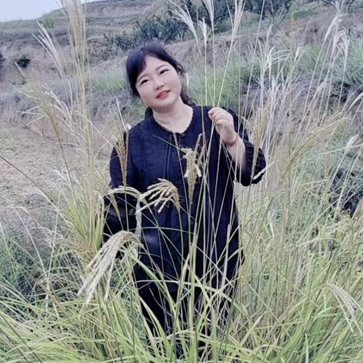 无忧草