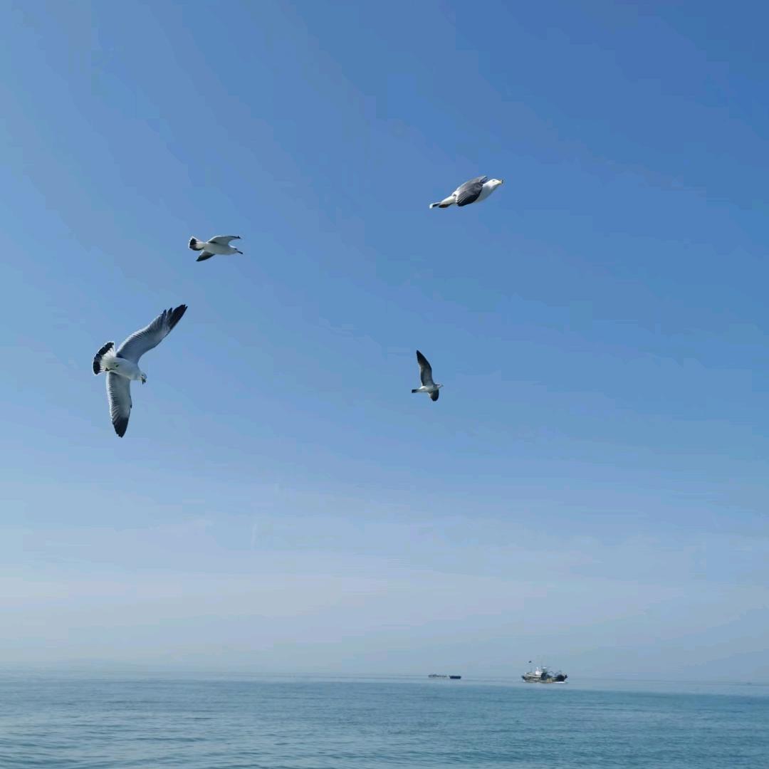 小山含水