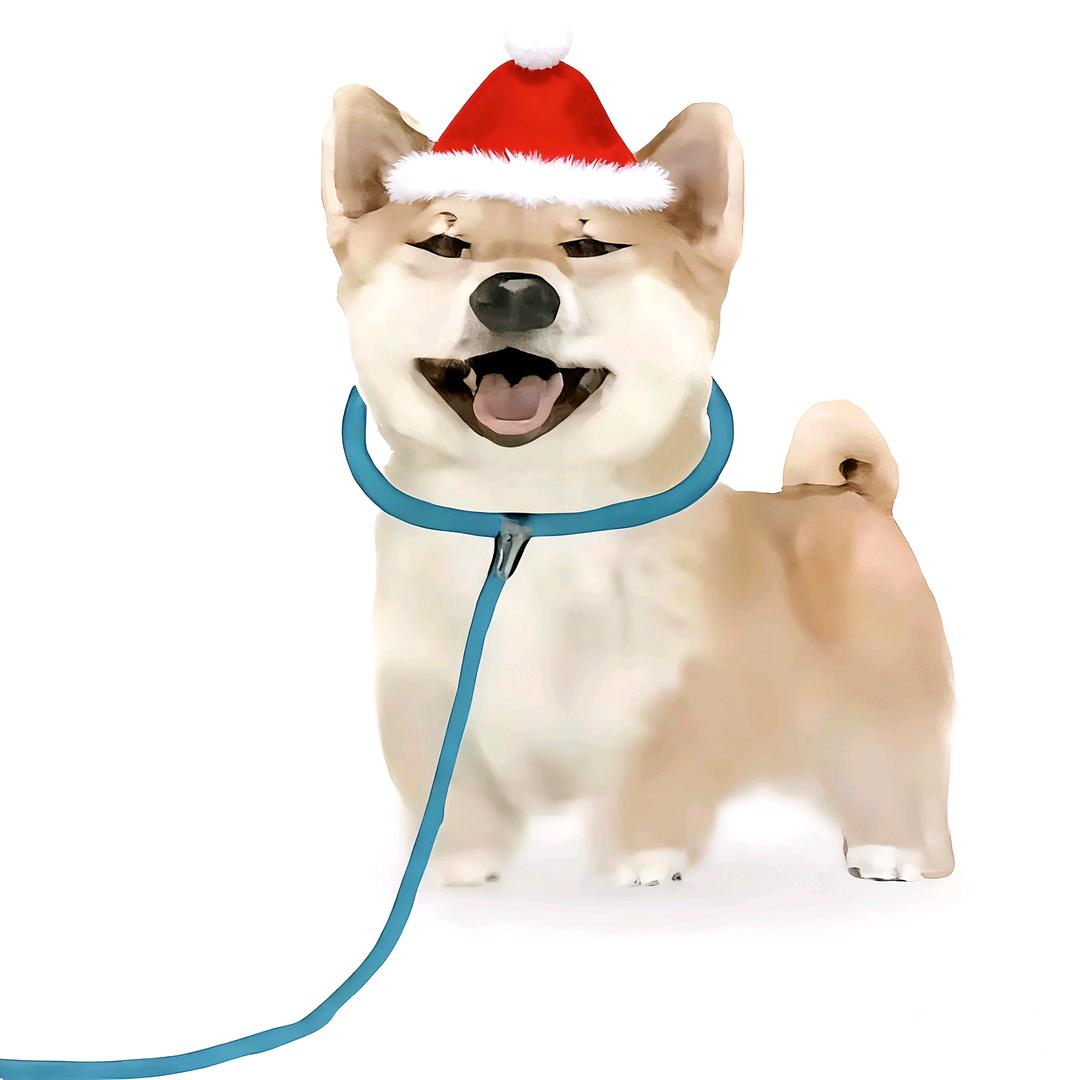 三胎宝妈（单亲拒私聊）