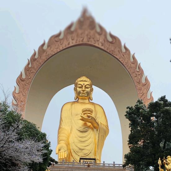丿张先生