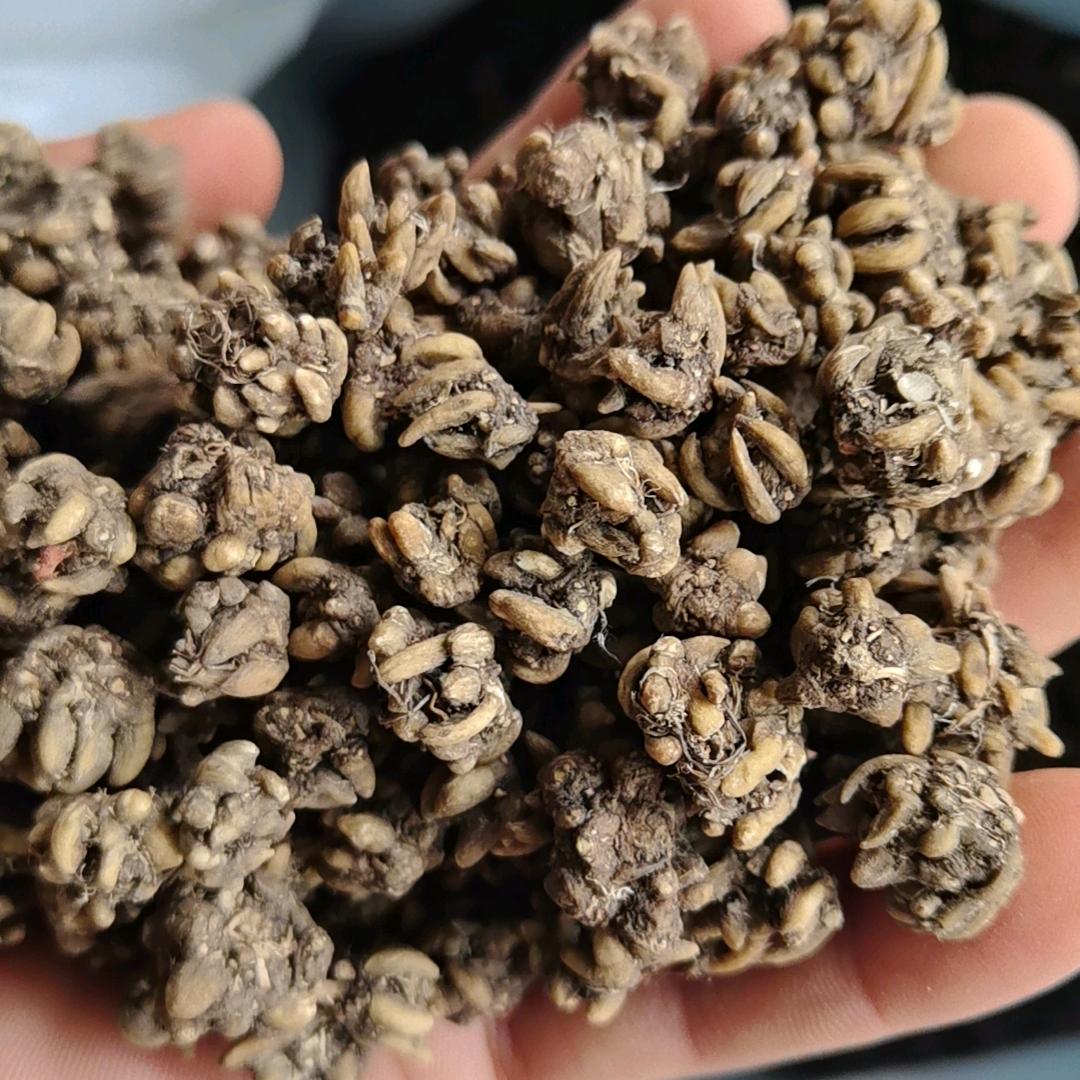 张成农产精选小铺