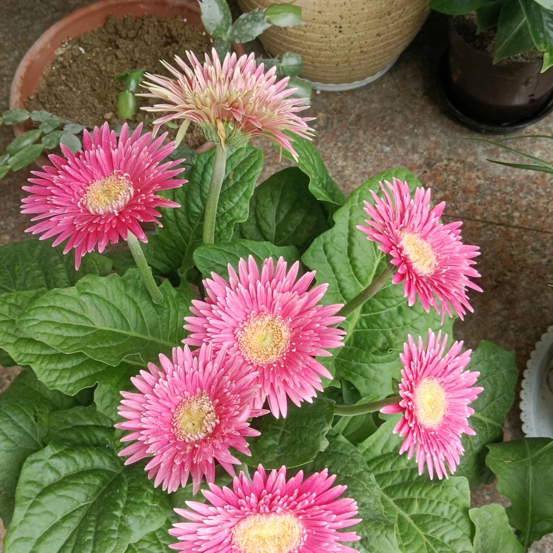 用户！人生如歌