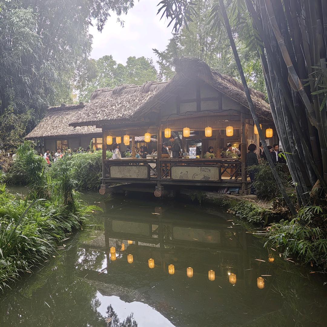 旅哥