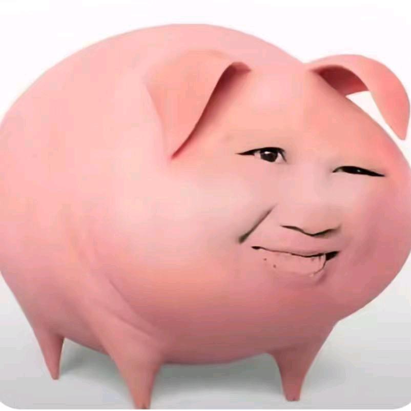 肉饼vv