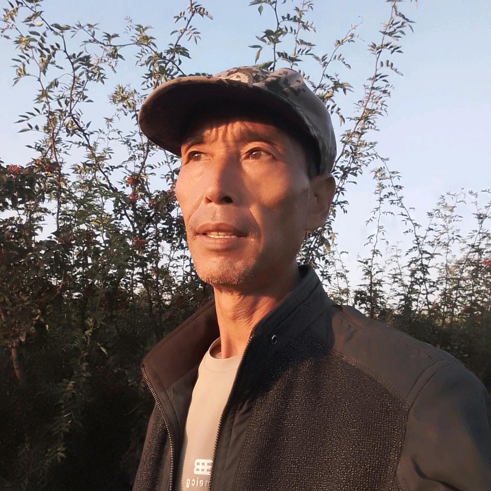 人生如梦