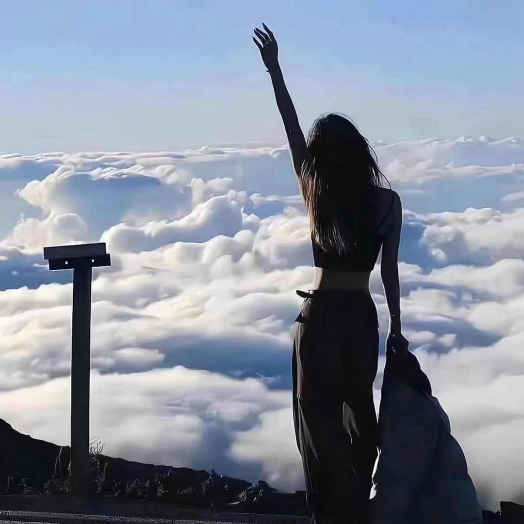 高冷de胆小鬼🫨