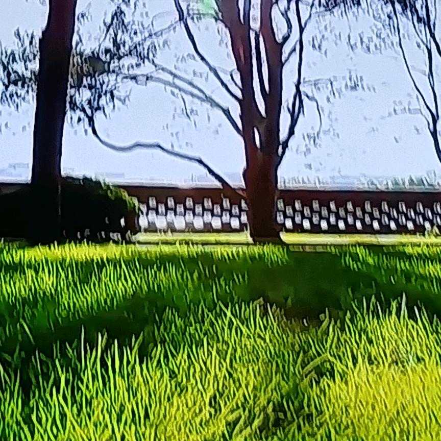 胡悦奶奶