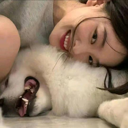 花猪