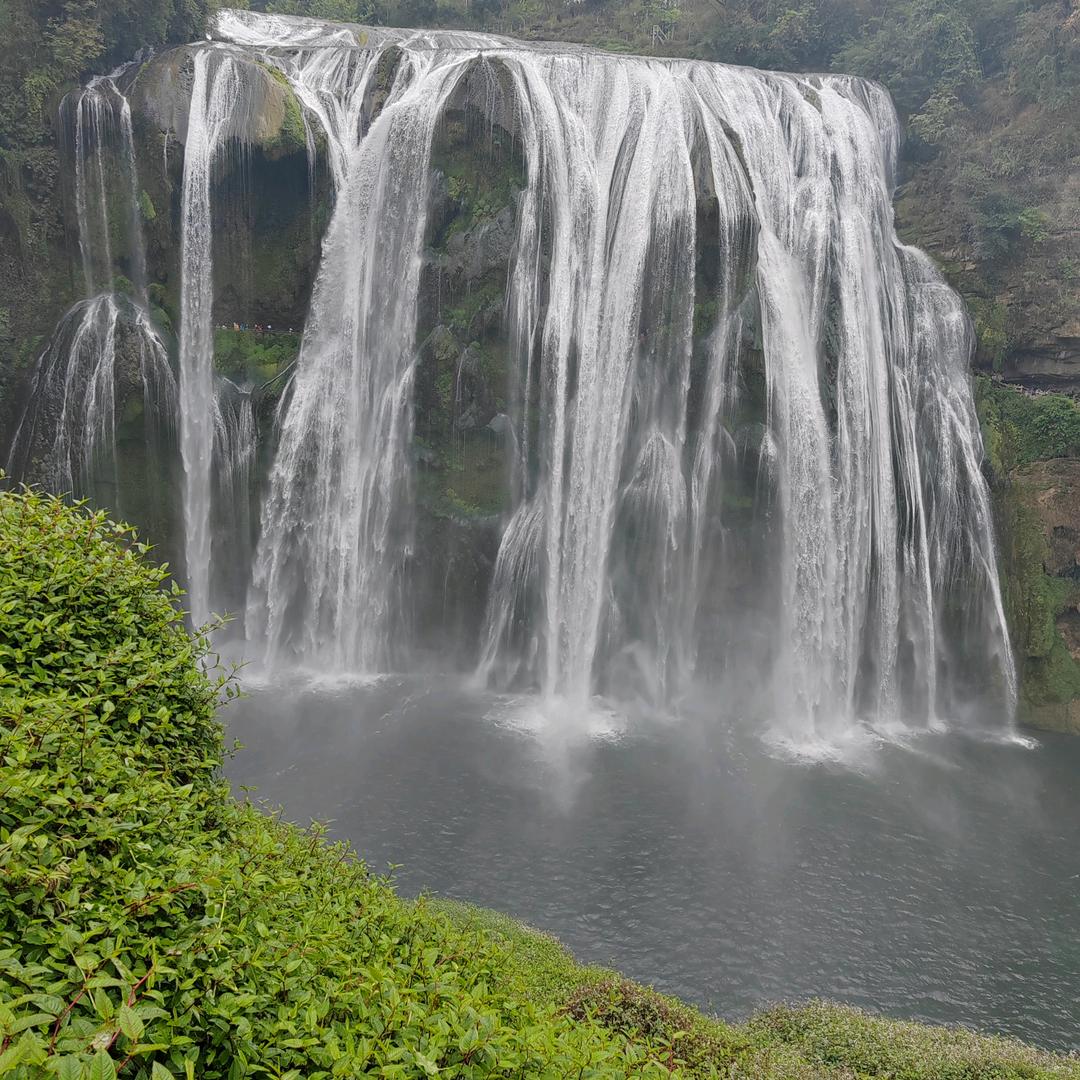 1010