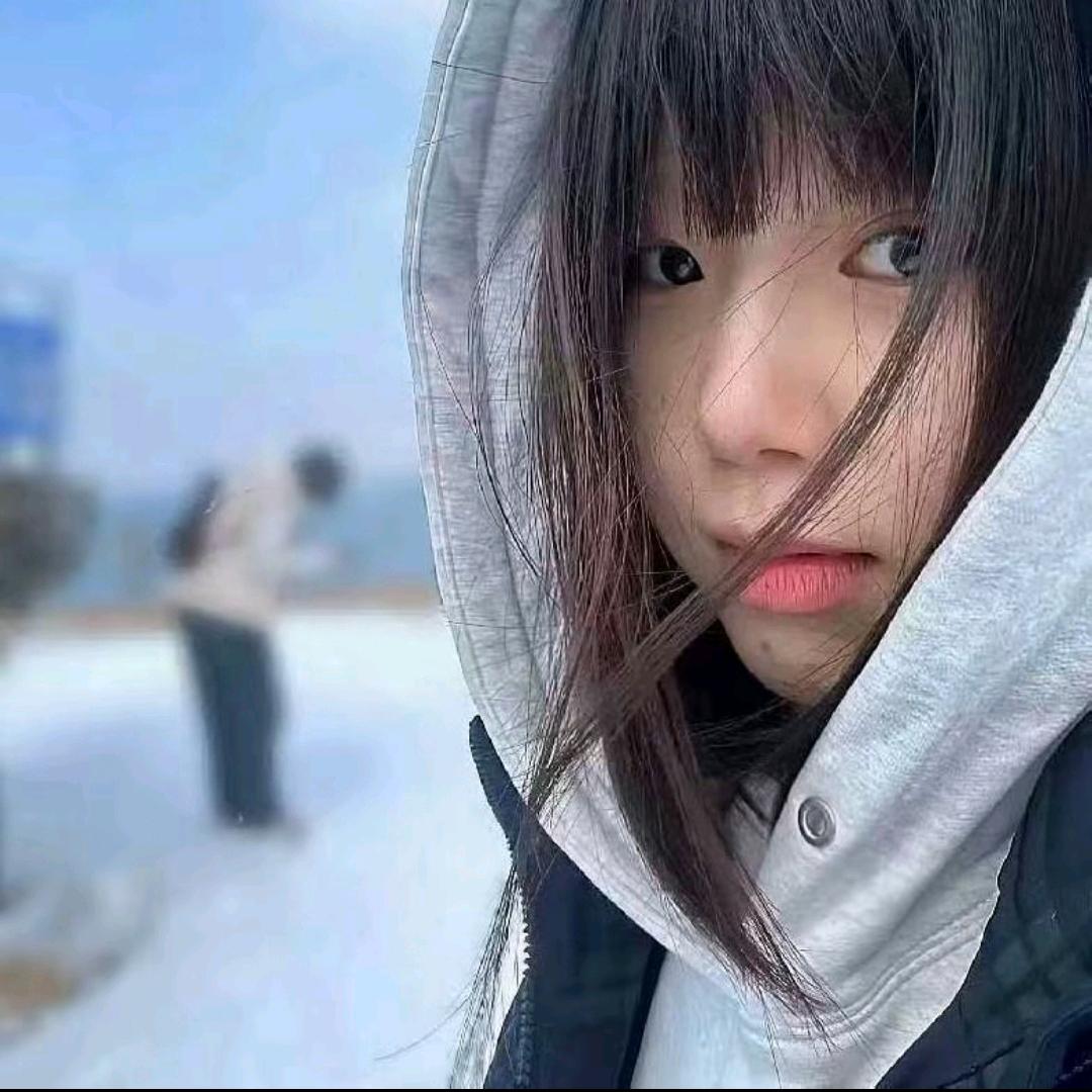 归屿