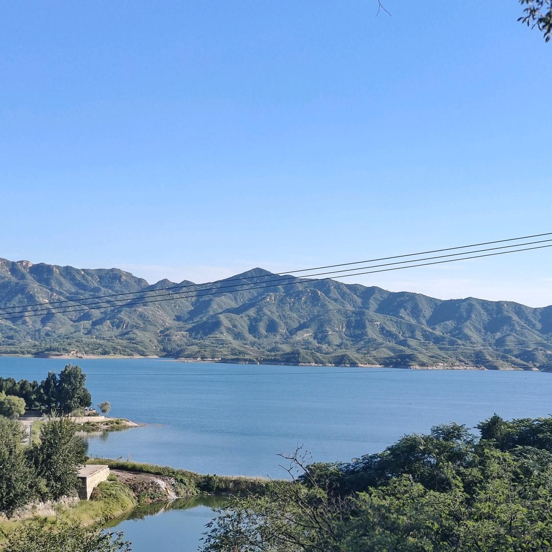 初夏花开 🌻🌻