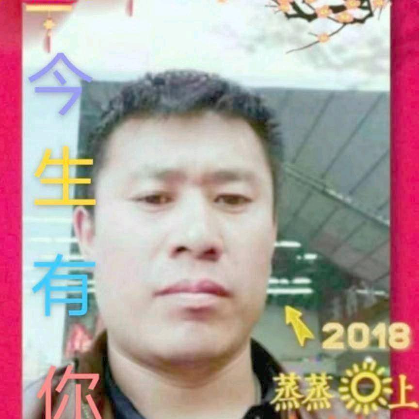 天若有情～～七舅姥爷