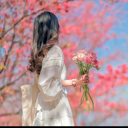 🦋এ᭄岁月꧔ꦿ᭄静好࿐ᩚ: