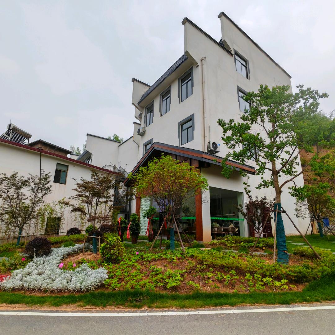 石窑茶栖谷官方号