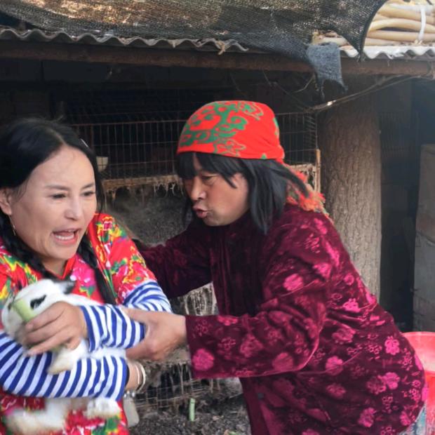 娘几个