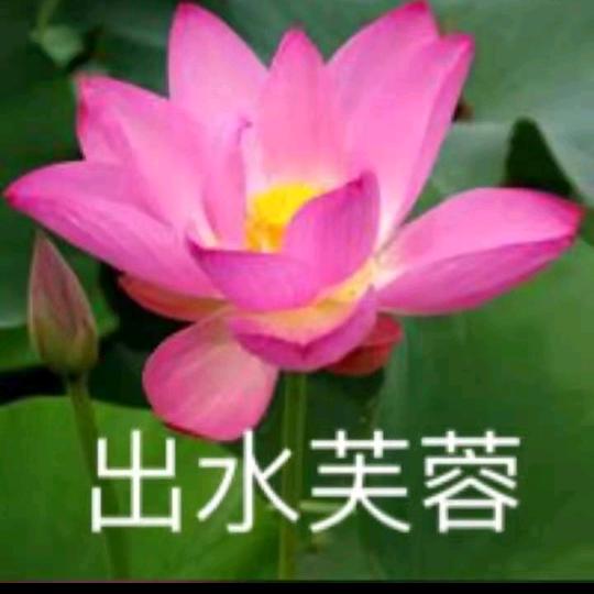 夏天的雨