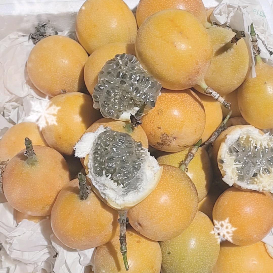云南热情小公主