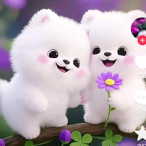 🌹武🌹语🌹人🌹生🌹