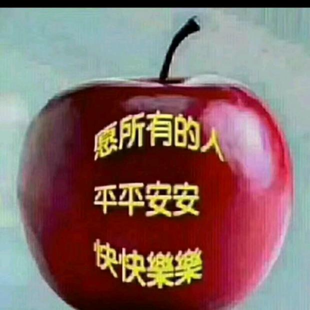 精品二手车买卖