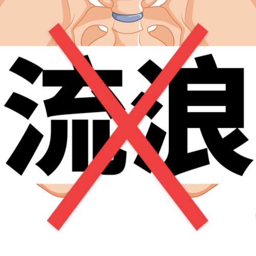富养流浪猫