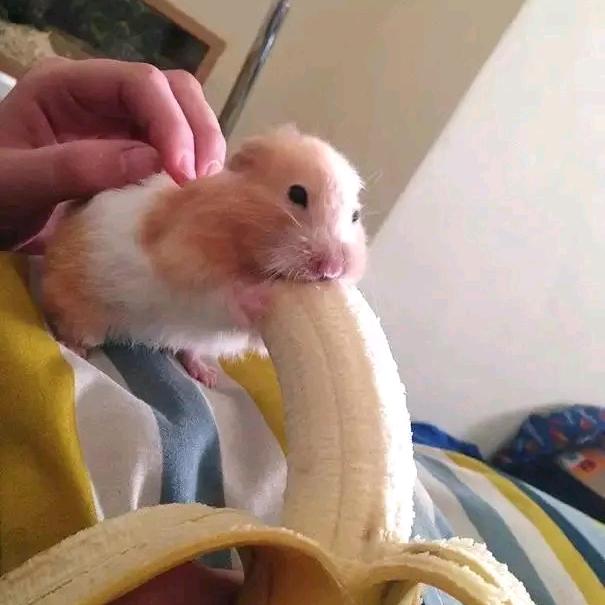 千寻