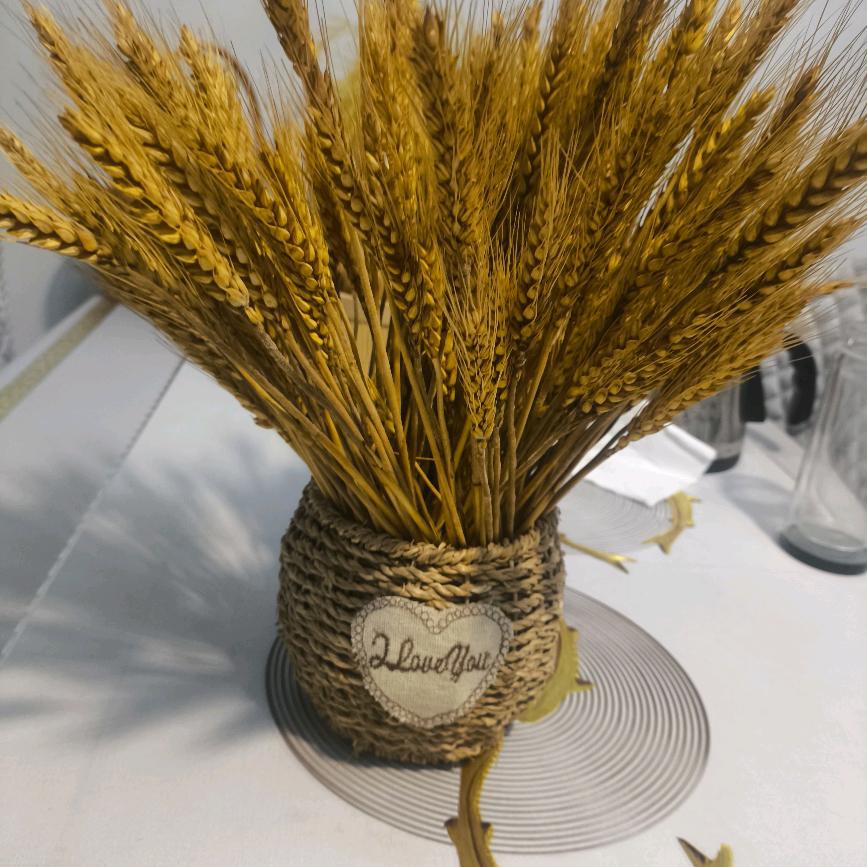 每天有个好心情