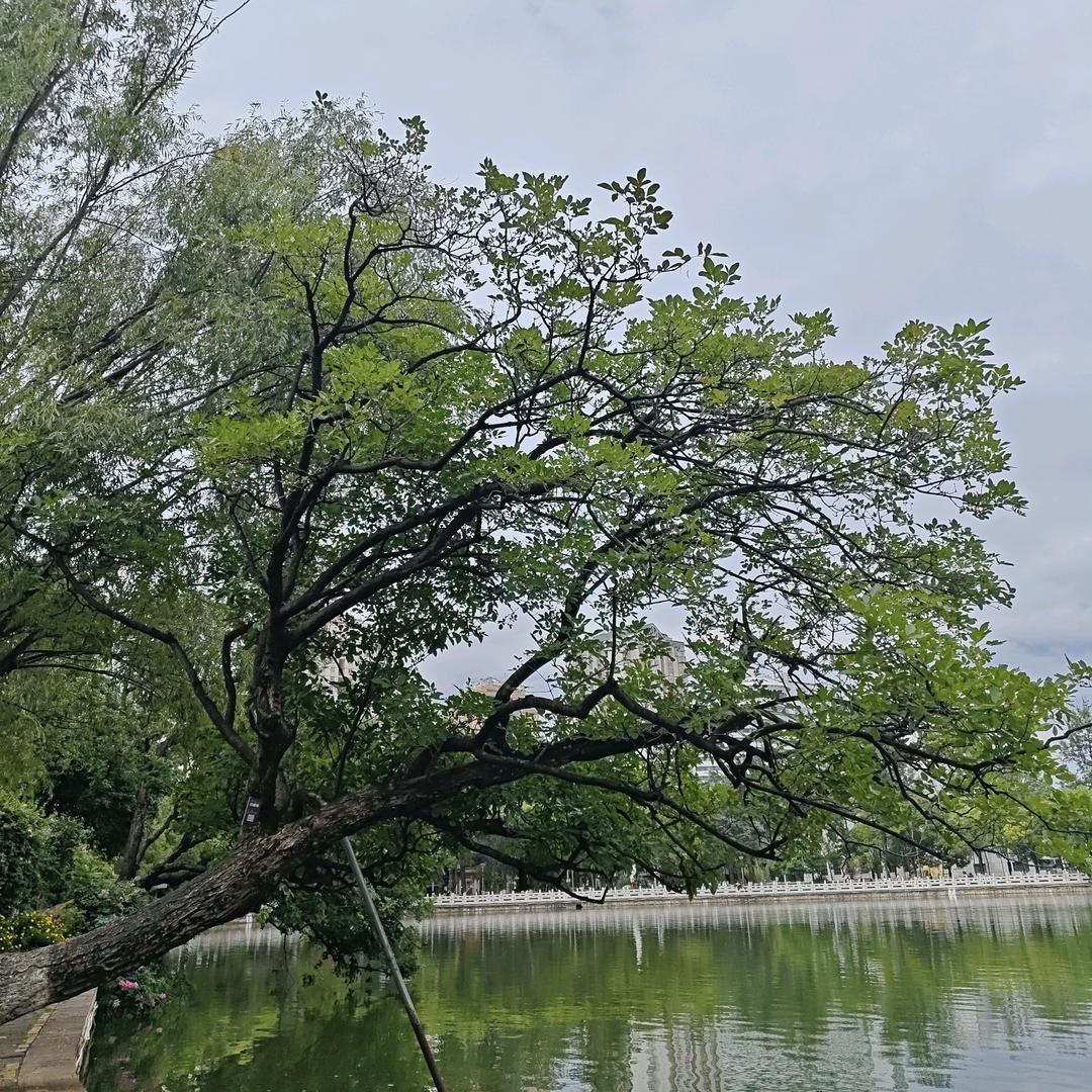 小迪百货