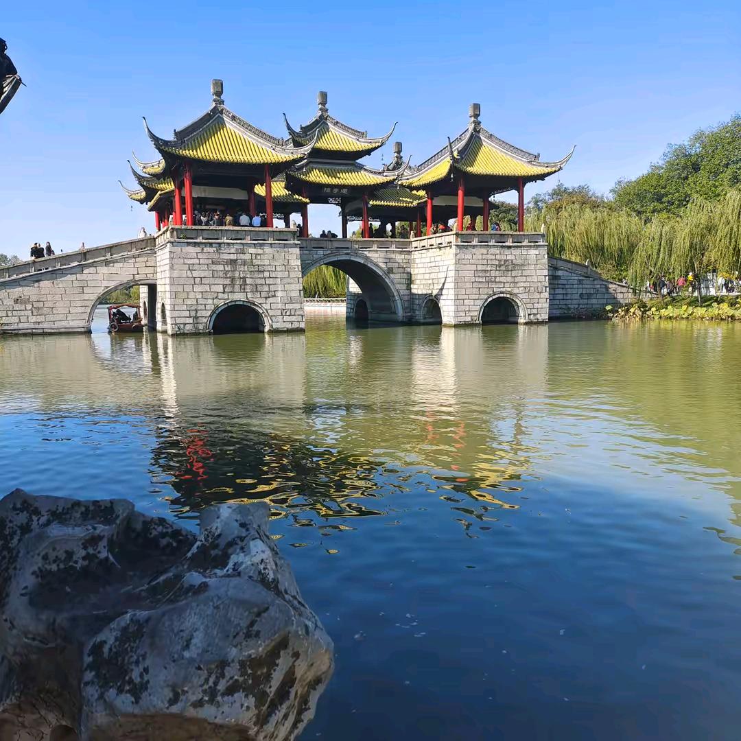 乐虎