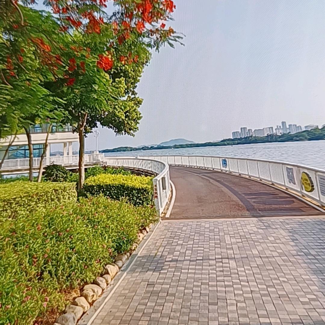 梵朵精品