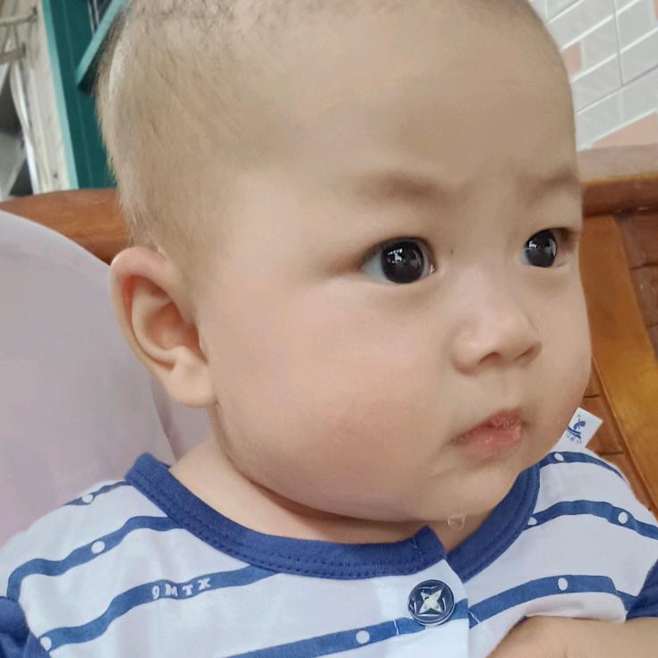 以后我不会再爱你