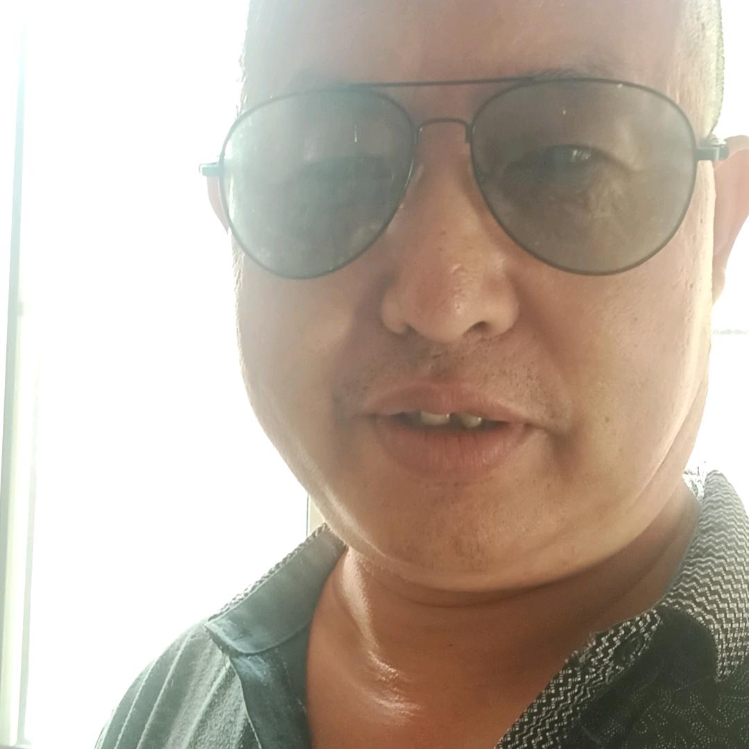 自由飞翔