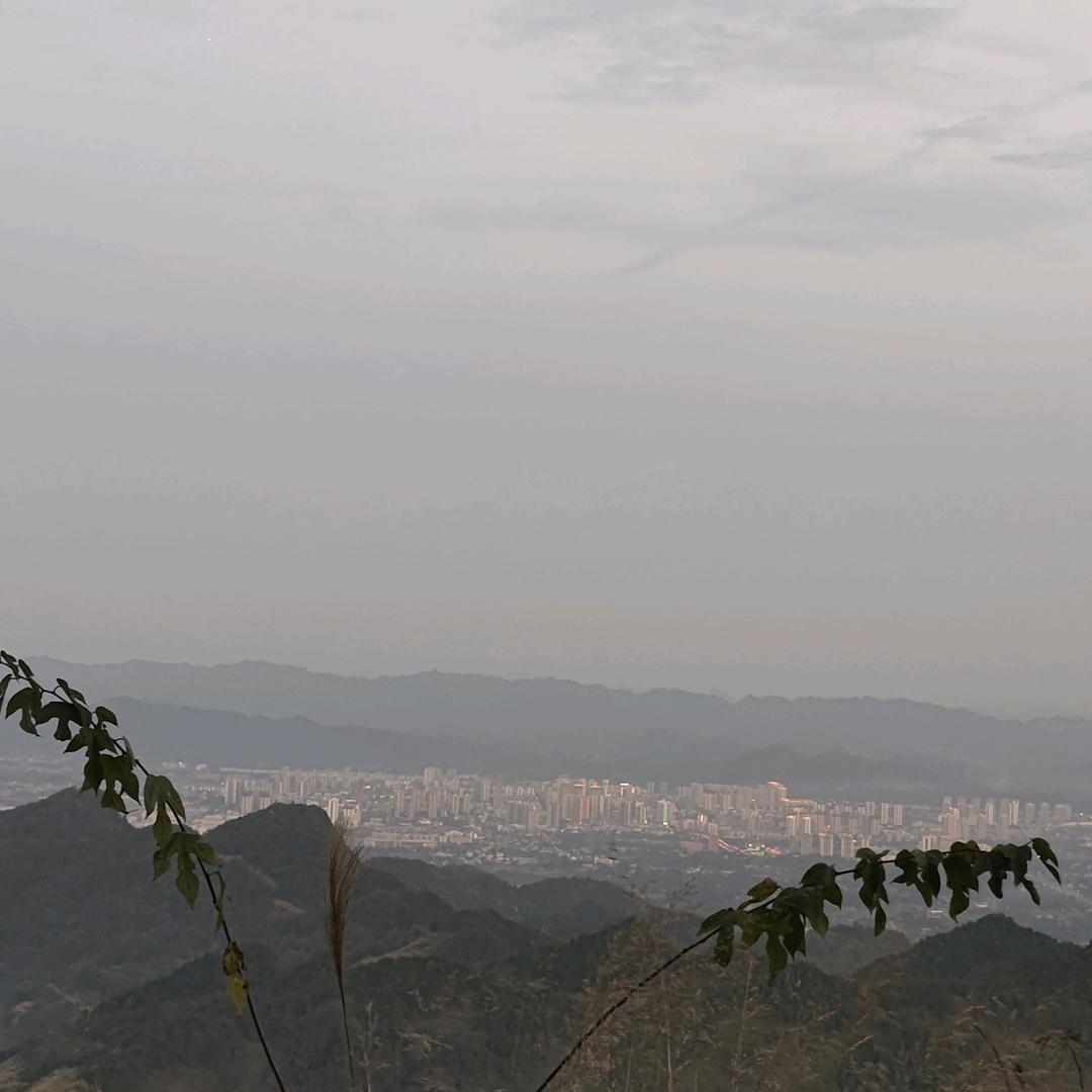 师傅，你请说
