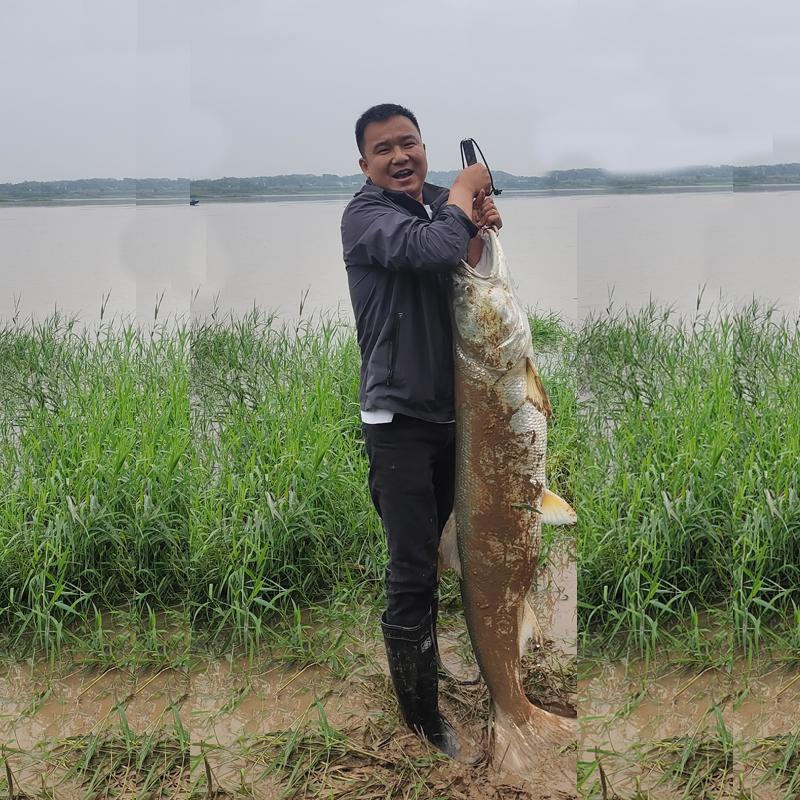 爱玩路亚的胡歌