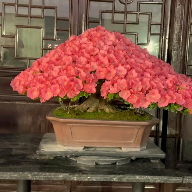 丰华