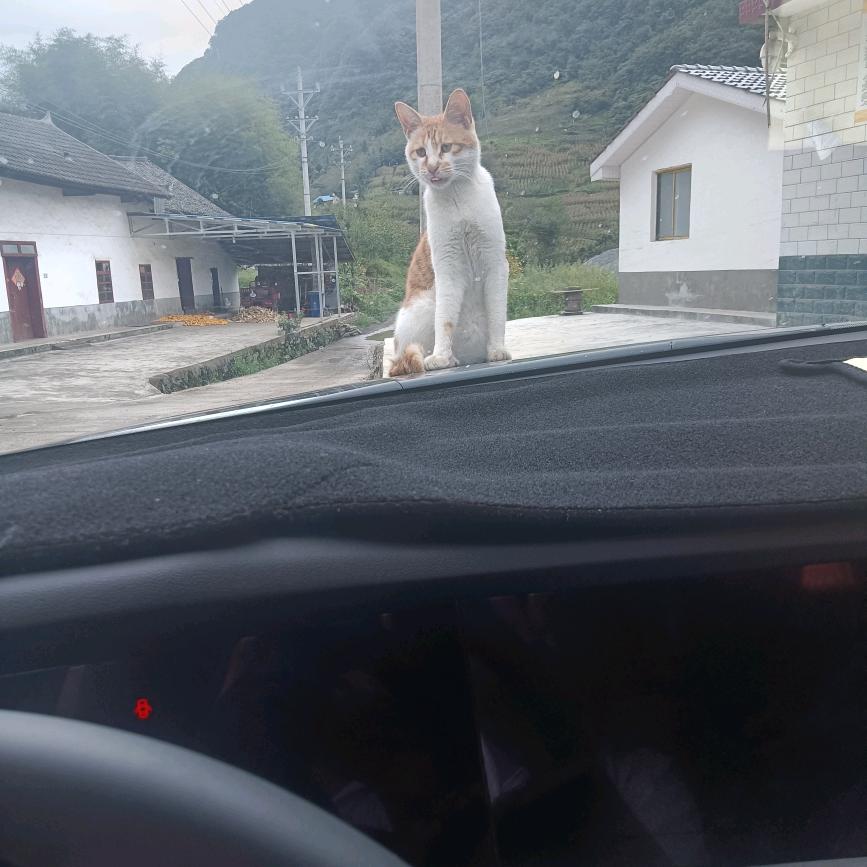 认识你真好