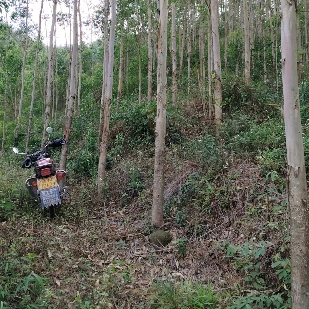 四💘爷【收木头的小哥哥】