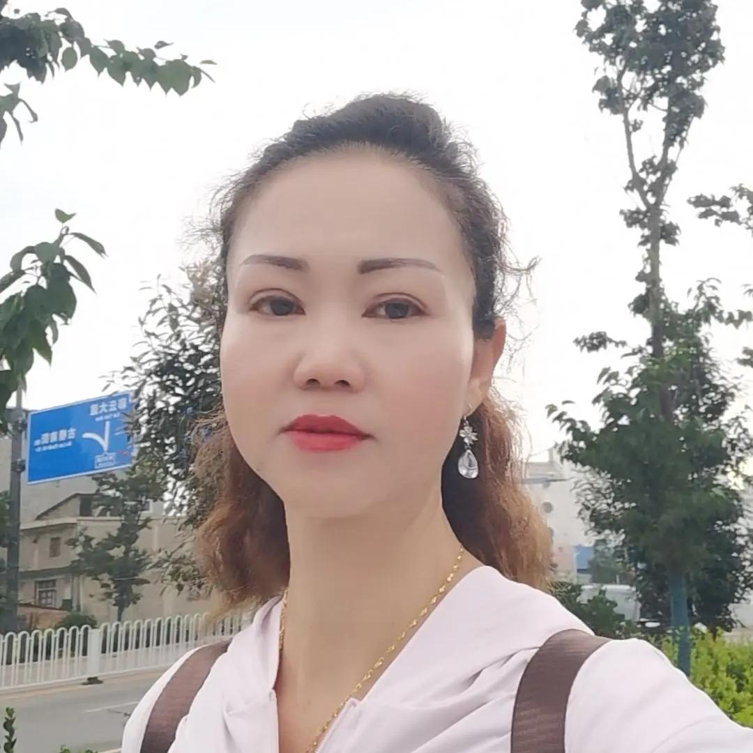 圆梦之星～燕子，