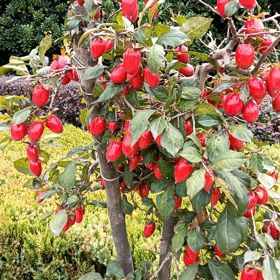 开开心心过一生。