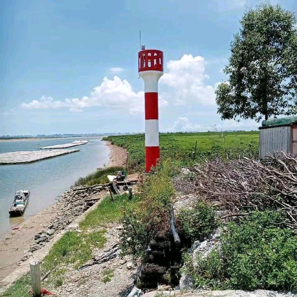 哈哥陈