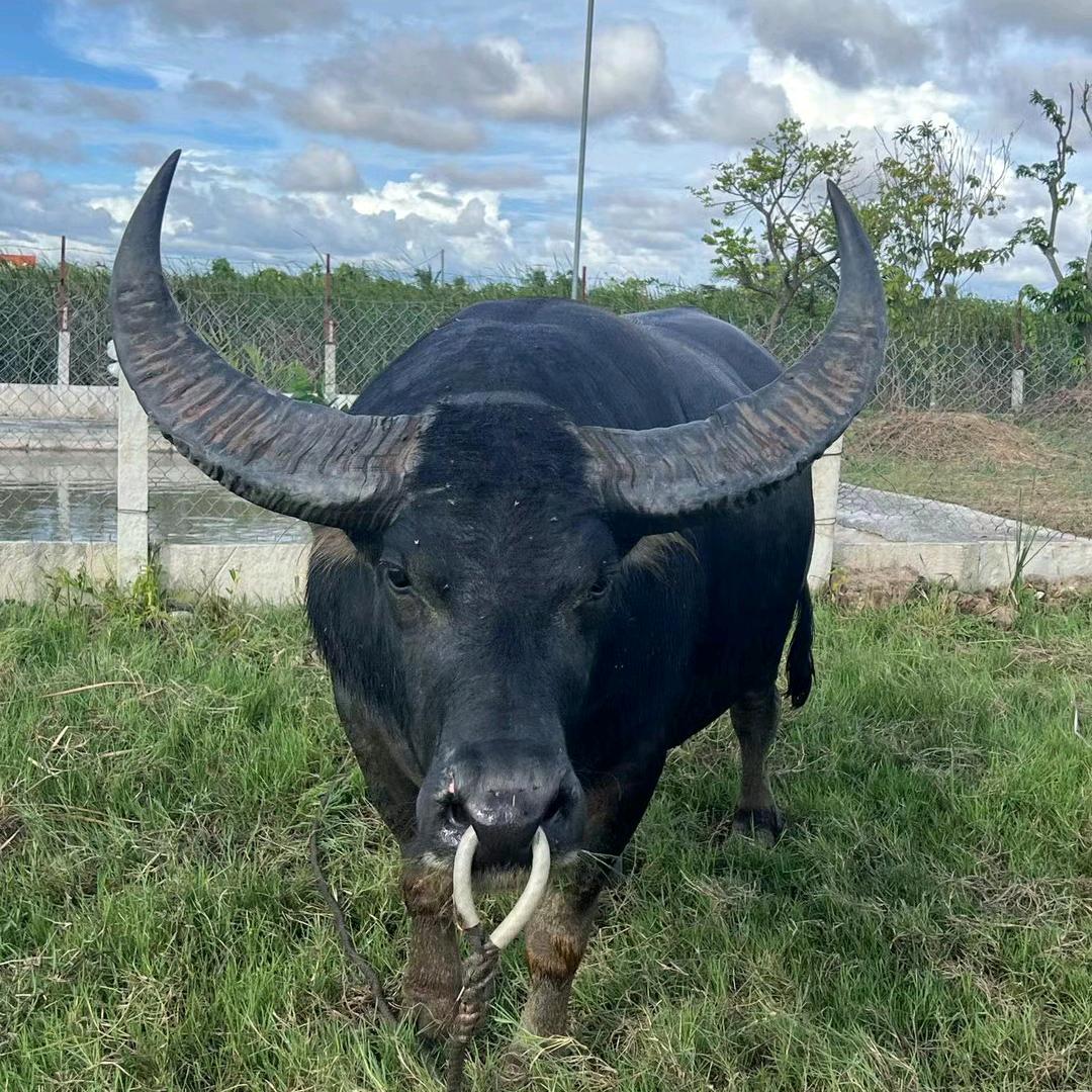 贵州小康快递员