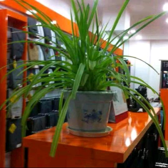 八零裤业工厂店