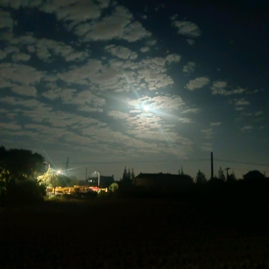 木子好物全在厨窗里