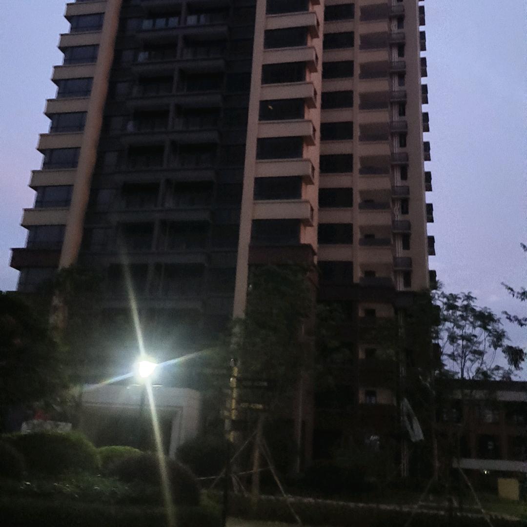 余生🌸有💖你